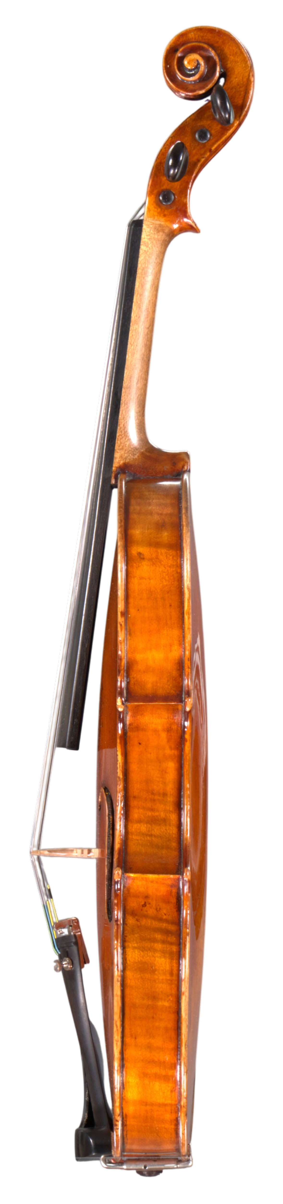 Violine von Emanuel Adam Homolka, 1846