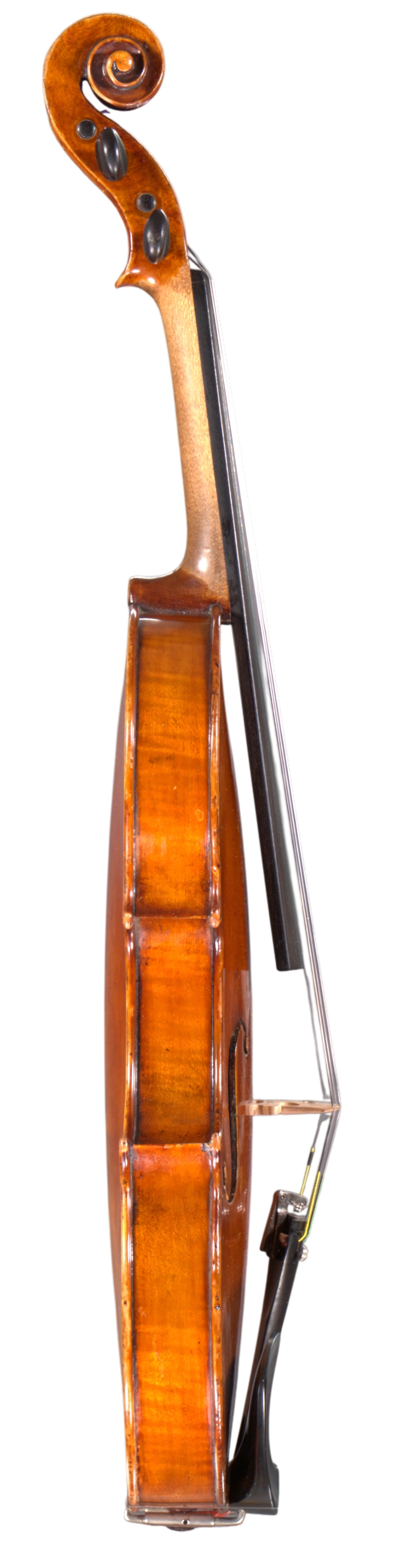 Violine von Emanuel Adam Homolka, 1846